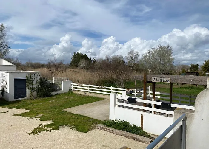 Les Maisons Du Paty